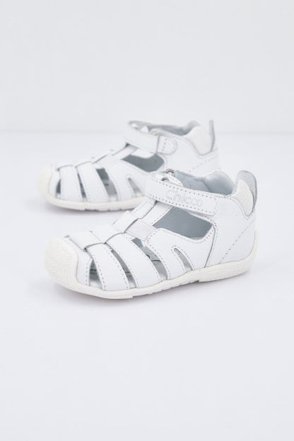 CHICCO GROUND en color   (1)
