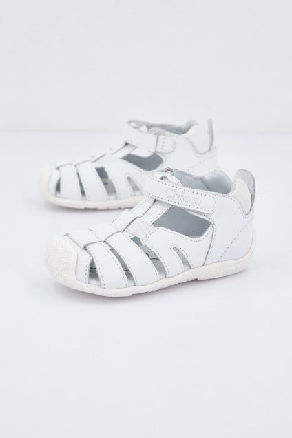 CHICCO GROUND en color   (1)