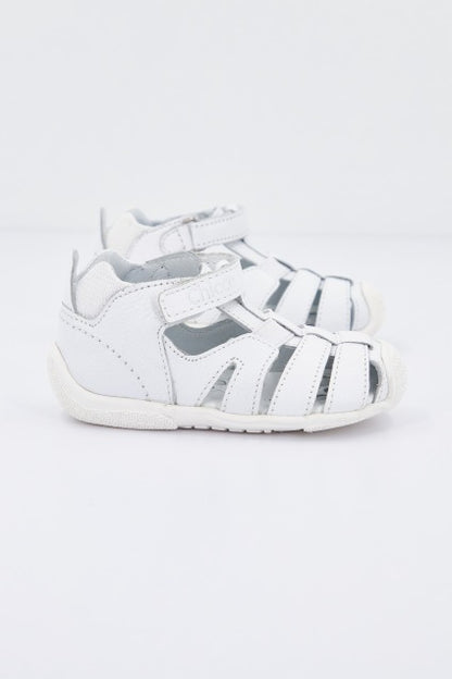 CHICCO GROUND en color   (2)