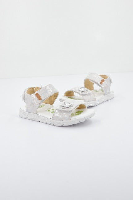 CHICCO COSTANCE en color   (1)