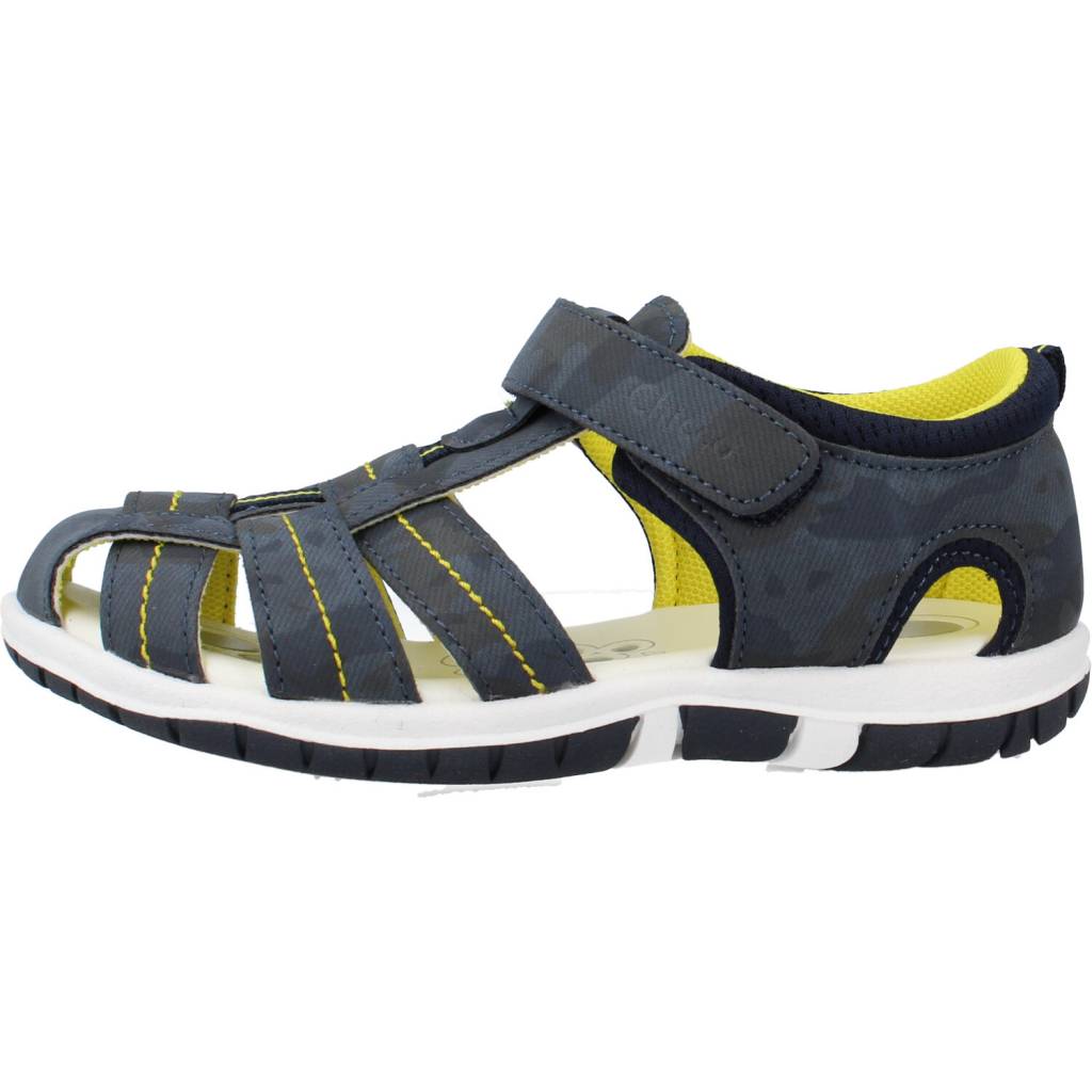 CHICCO FADO en color   (2)