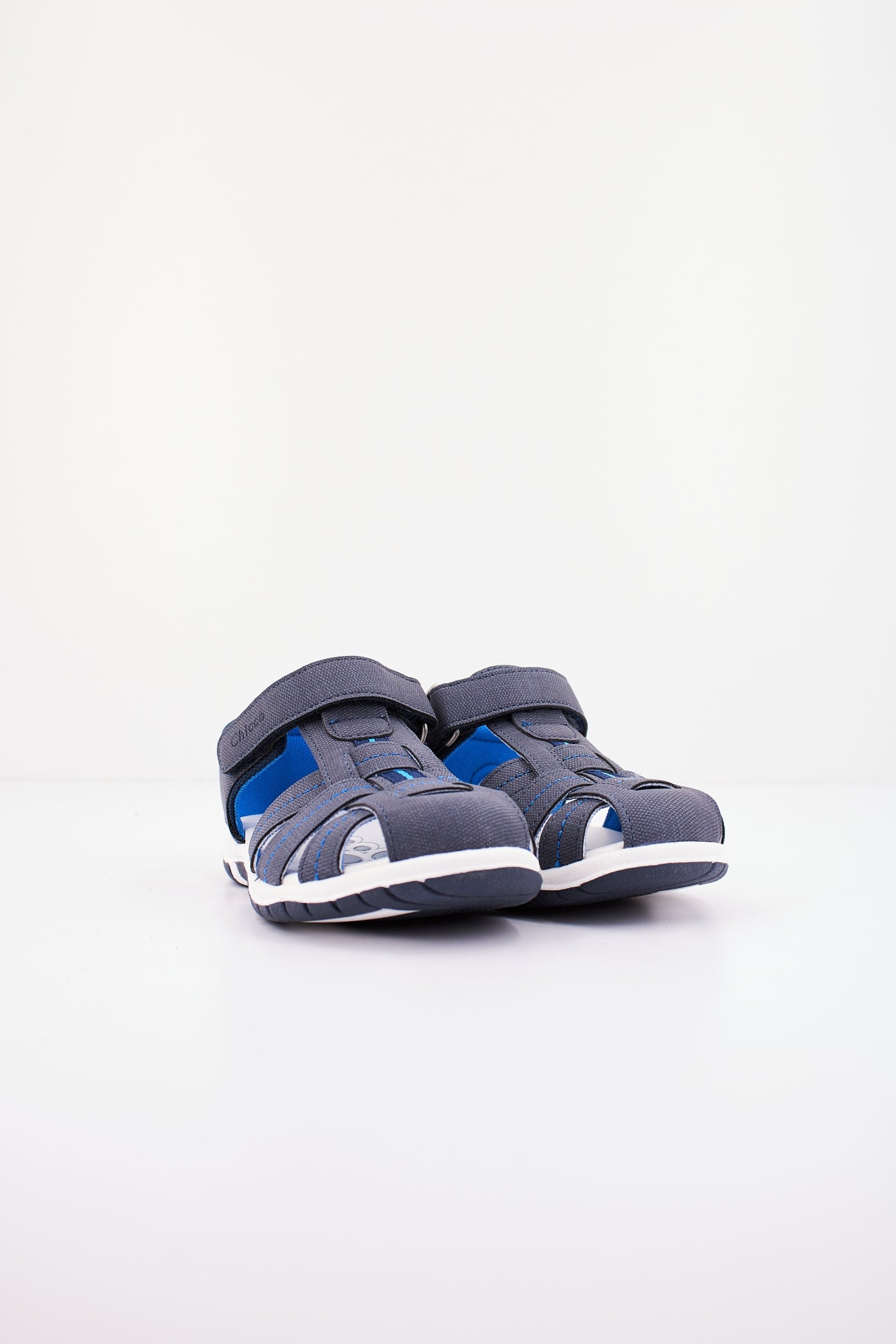 CHICCO FADO en color   (2)