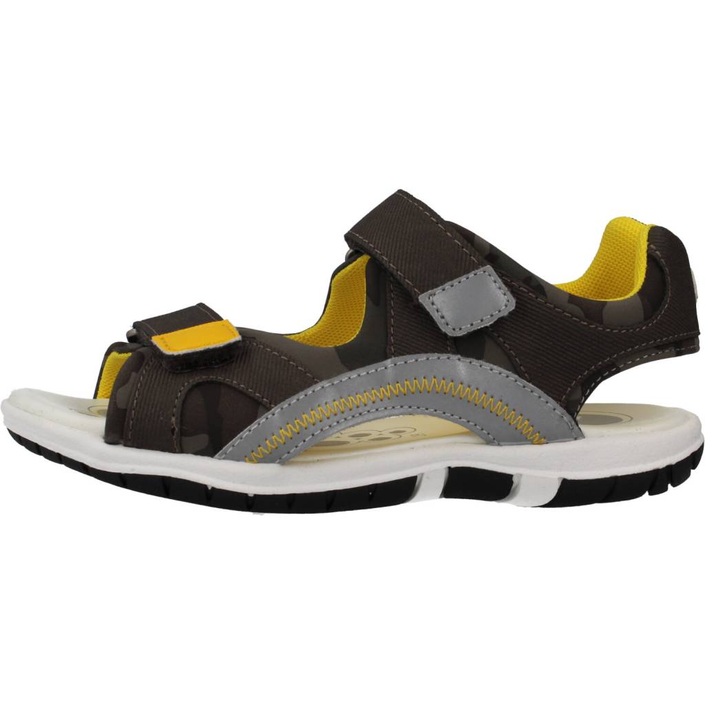 CHICCO C en color   (2)