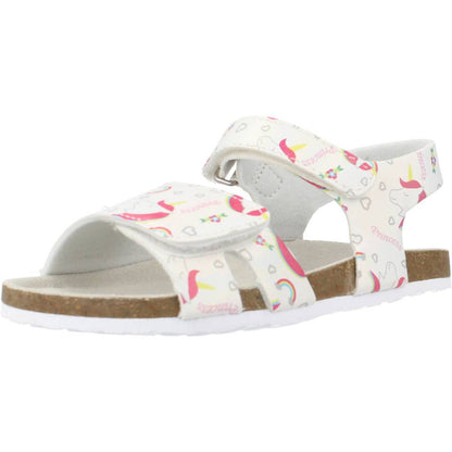 CHICCO  FINDY en color   (1)