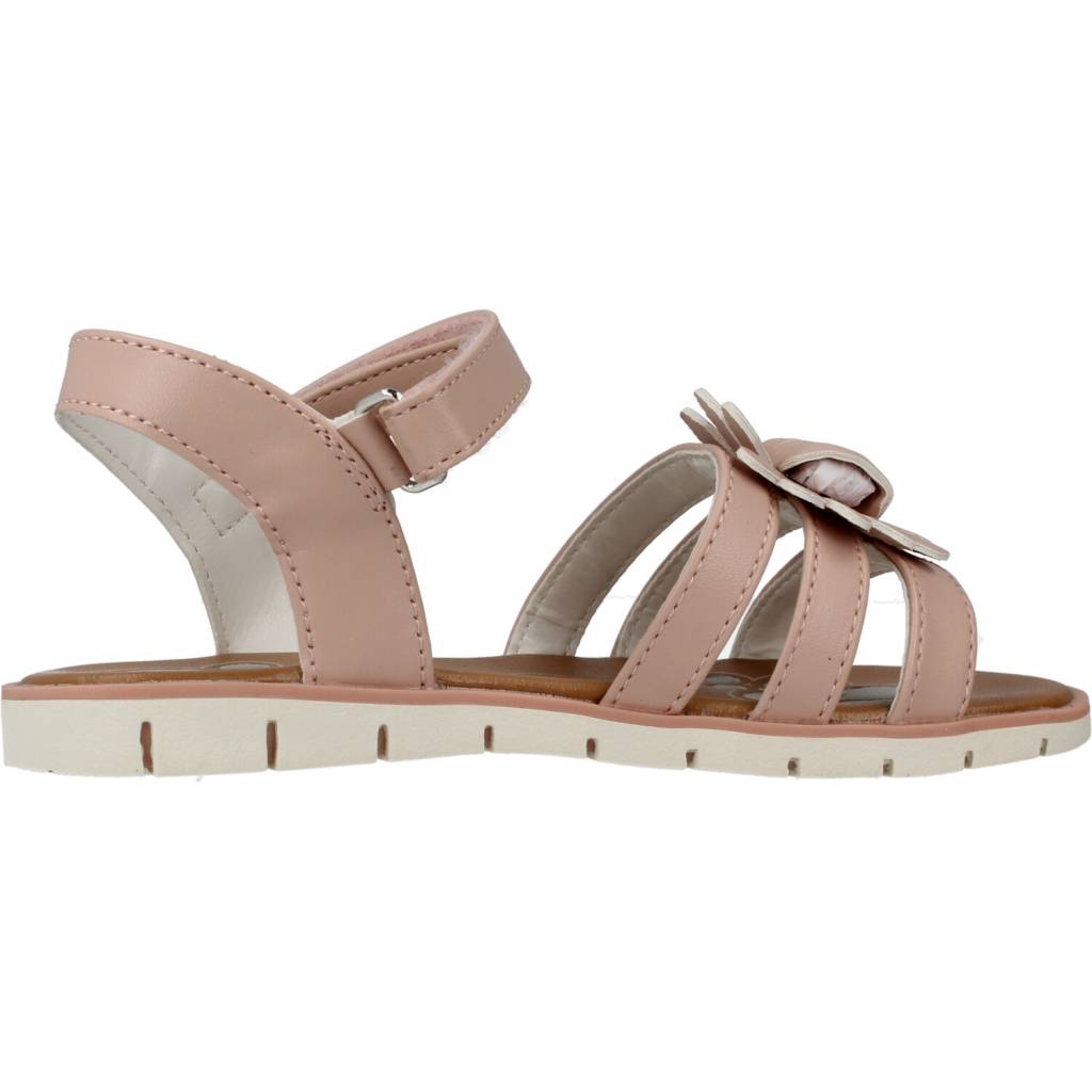 CHICCO COCCOLA en color   (5)