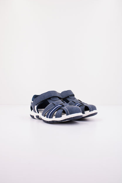 CHICCO FOX en color   (2)