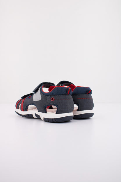 CHICCO  FORREST en color   (3)