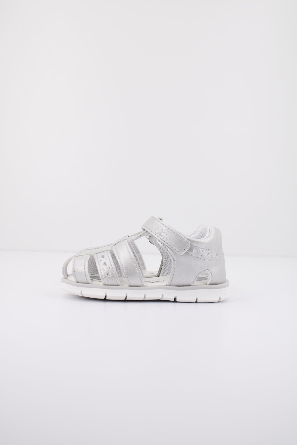 CHICCO C en color   (1)