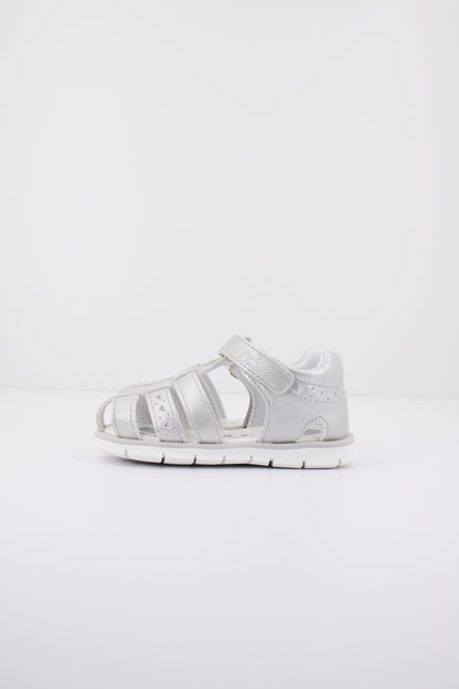 CHICCO C en color   (1)