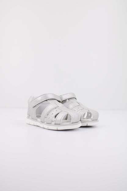 CHICCO C en color   (2)