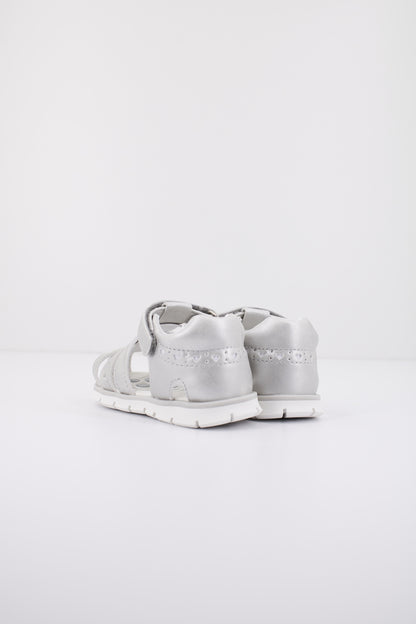 CHICCO C en color   (3)