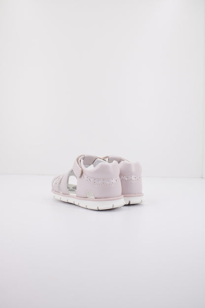 CHICCO C en color   (3)