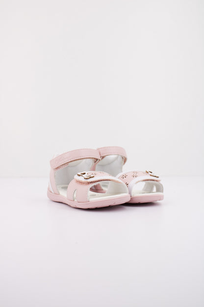 CHICCO C en color   (2)