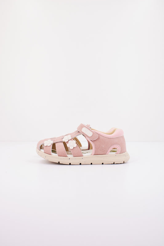 CHICCO CLEPPY en color   (1)