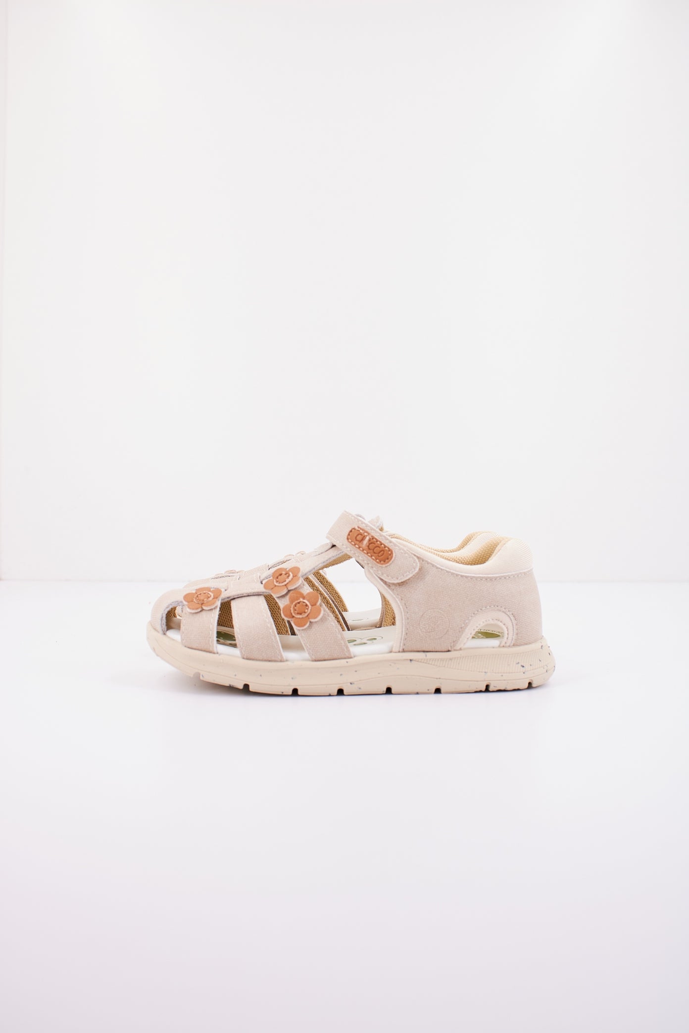 CHICCO CLEPPY en color   (1)