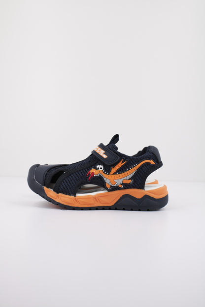 CHICCO C en color   (1)