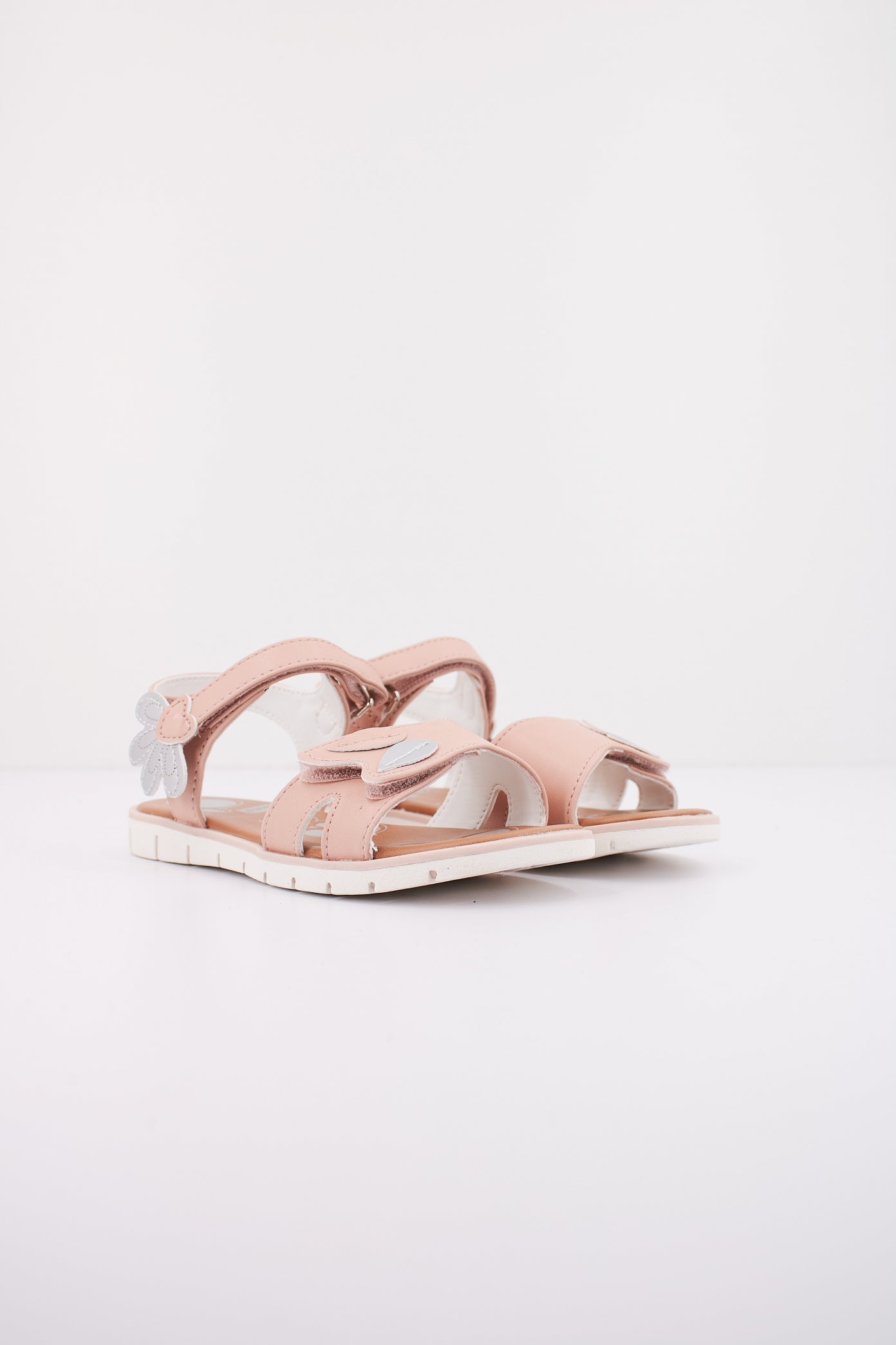 CHICCO CIMA en color   (2)