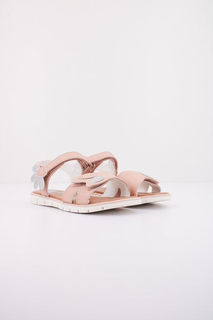 CHICCO CIMA en color   (2)