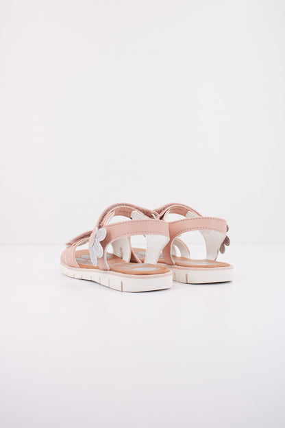 CHICCO CIMA en color   (3)