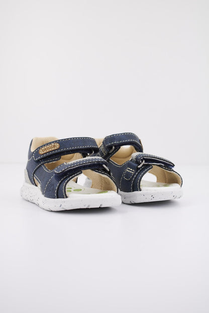 CHICCO GOLDEN en color   (2)