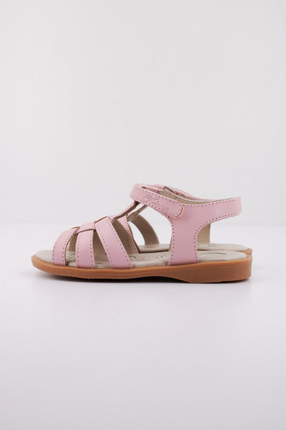 CHICCO CARMYS en color   (1)