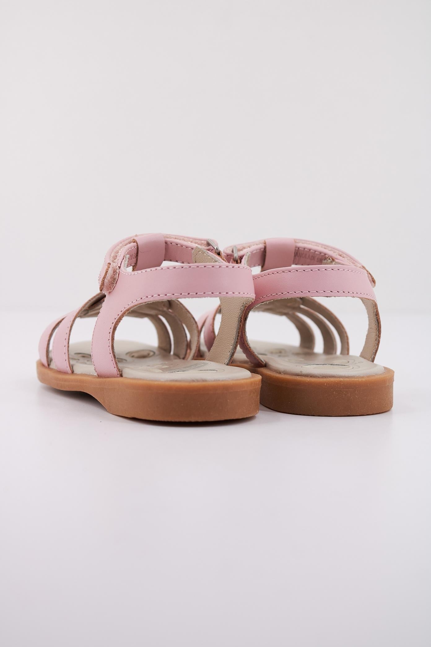 CHICCO CARMYS en color   (4)