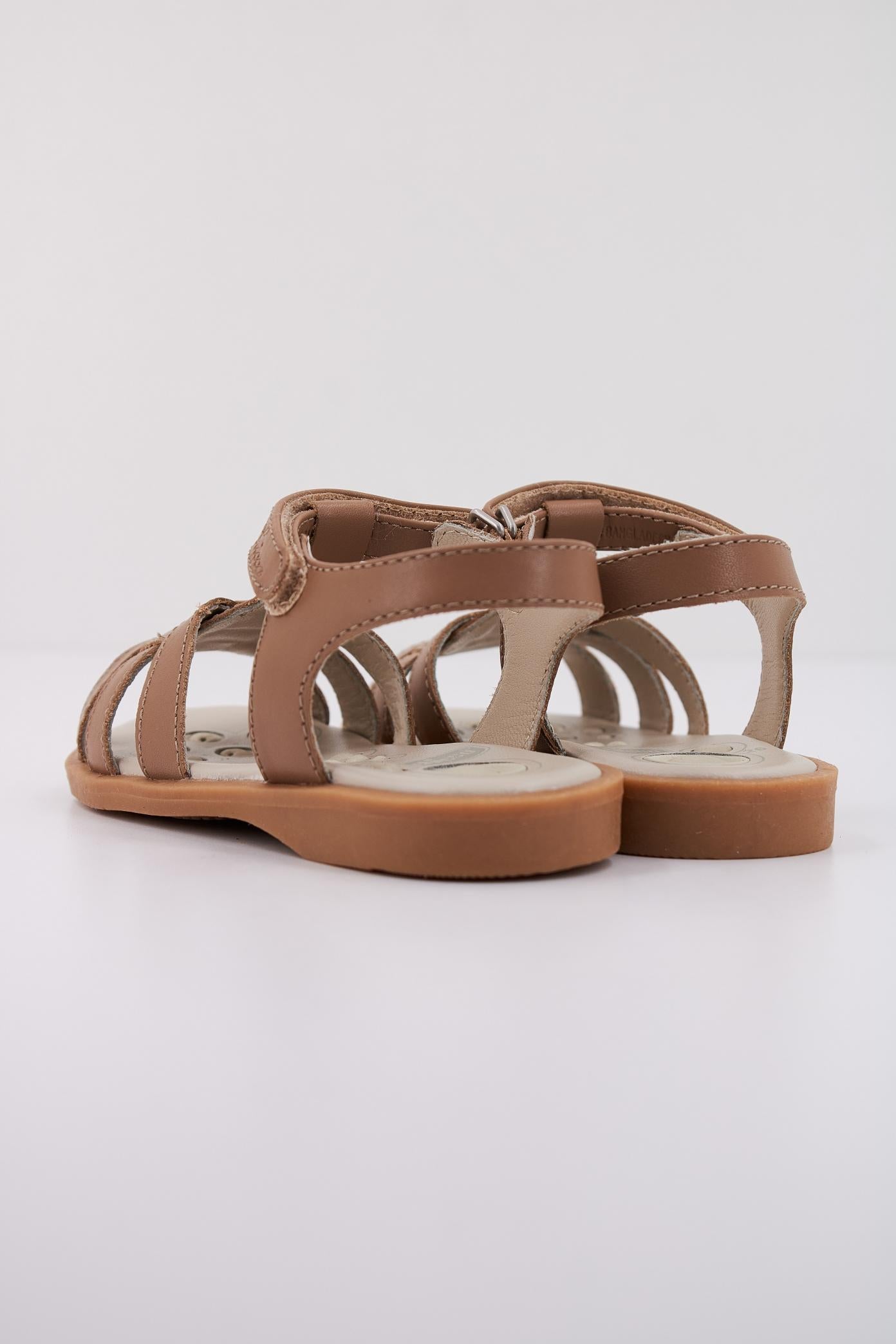 CHICCO CARMYS en color   (4)