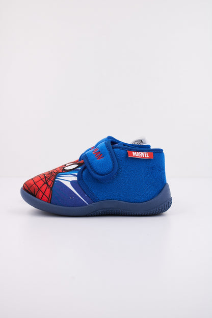 CHICCO TOM en color   (1)