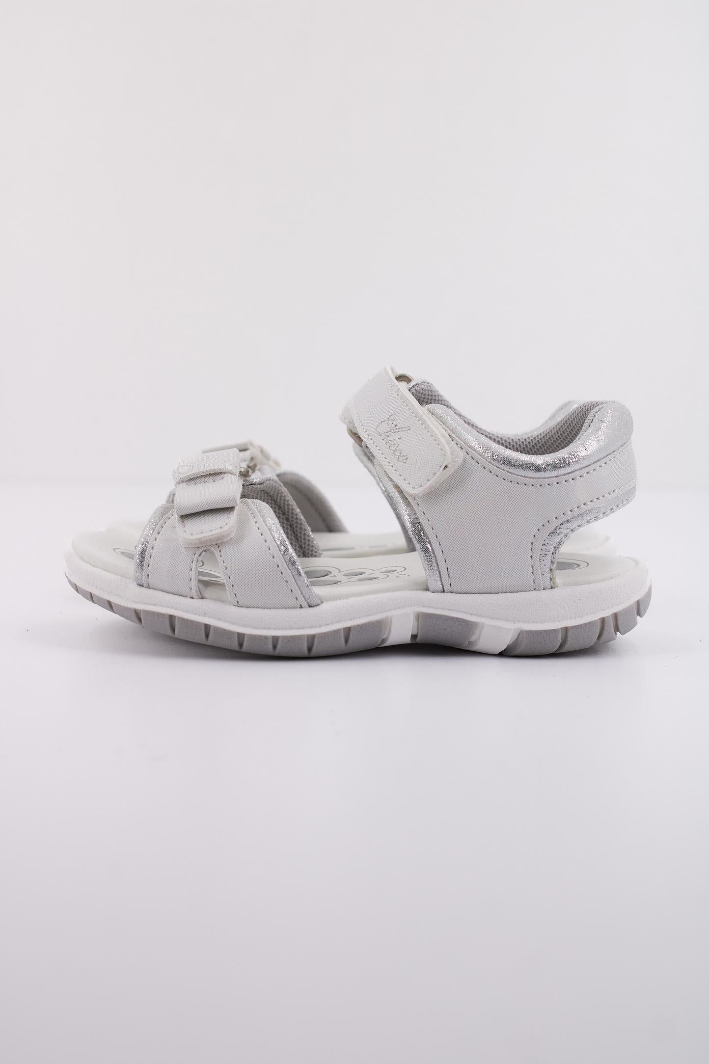 CHICCO FLORY en color   (1)