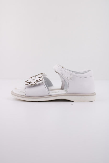 CHICCO  COLORY en color   (1)