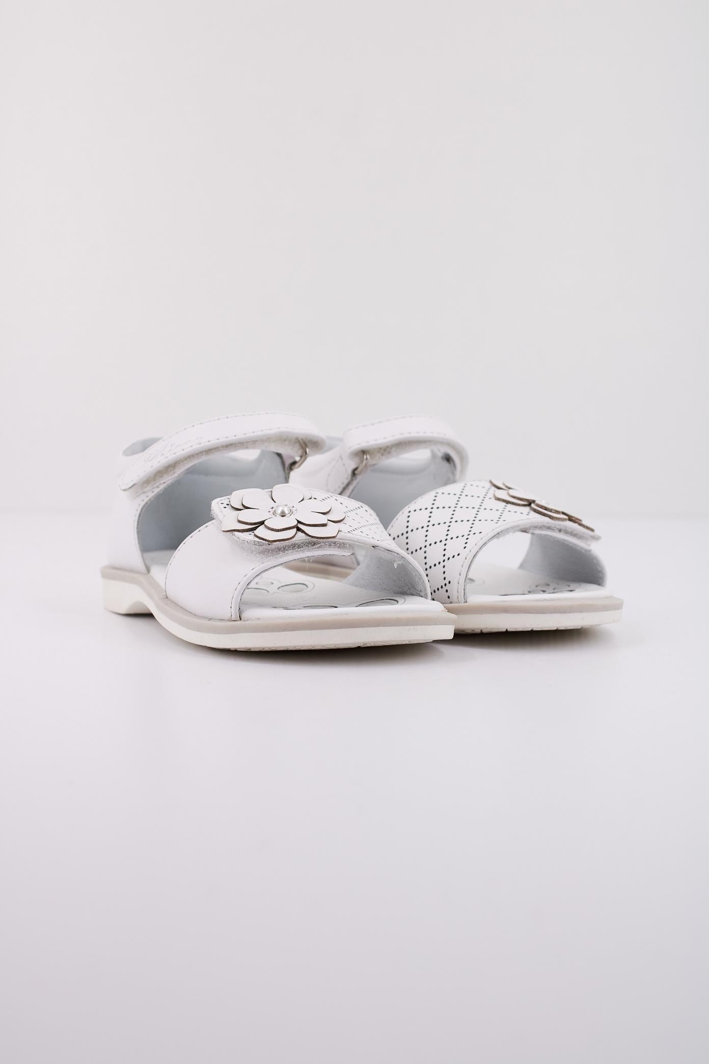 CHICCO  COLORY en color   (2)