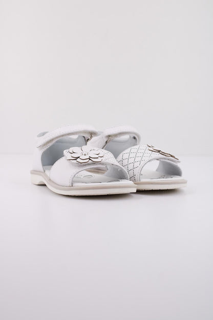 CHICCO  COLORY en color   (2)