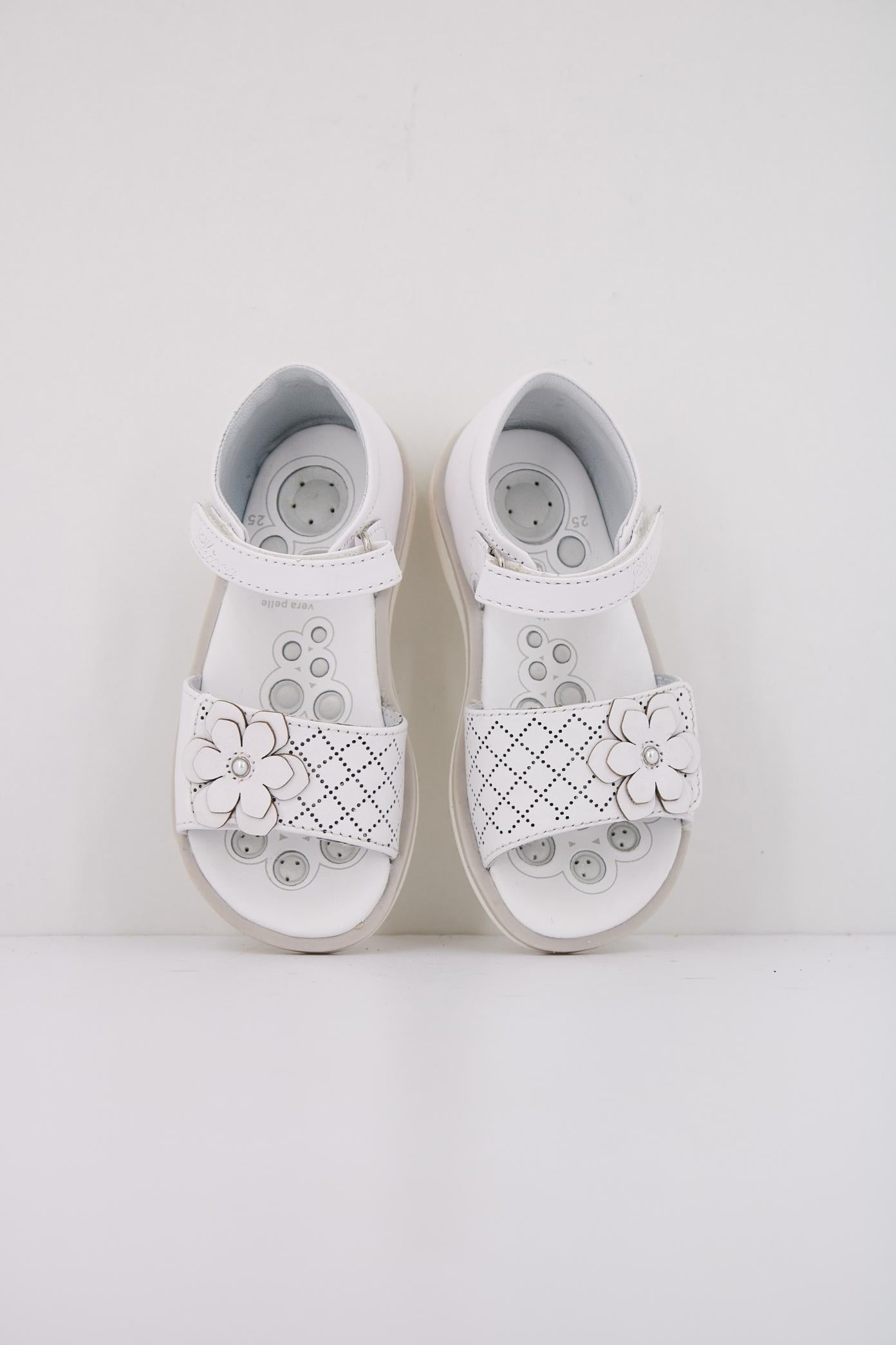 CHICCO  COLORY en color   (3)