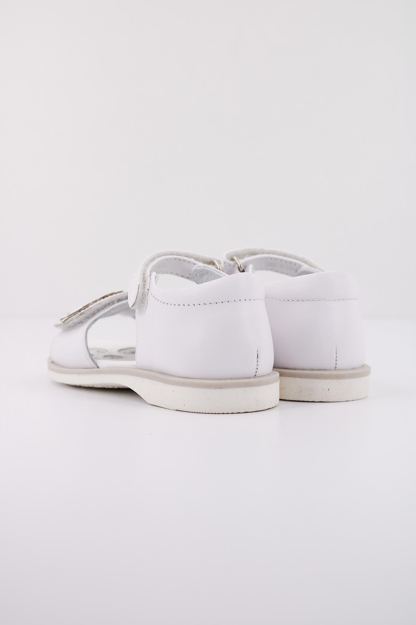 CHICCO  COLORY en color   (4)