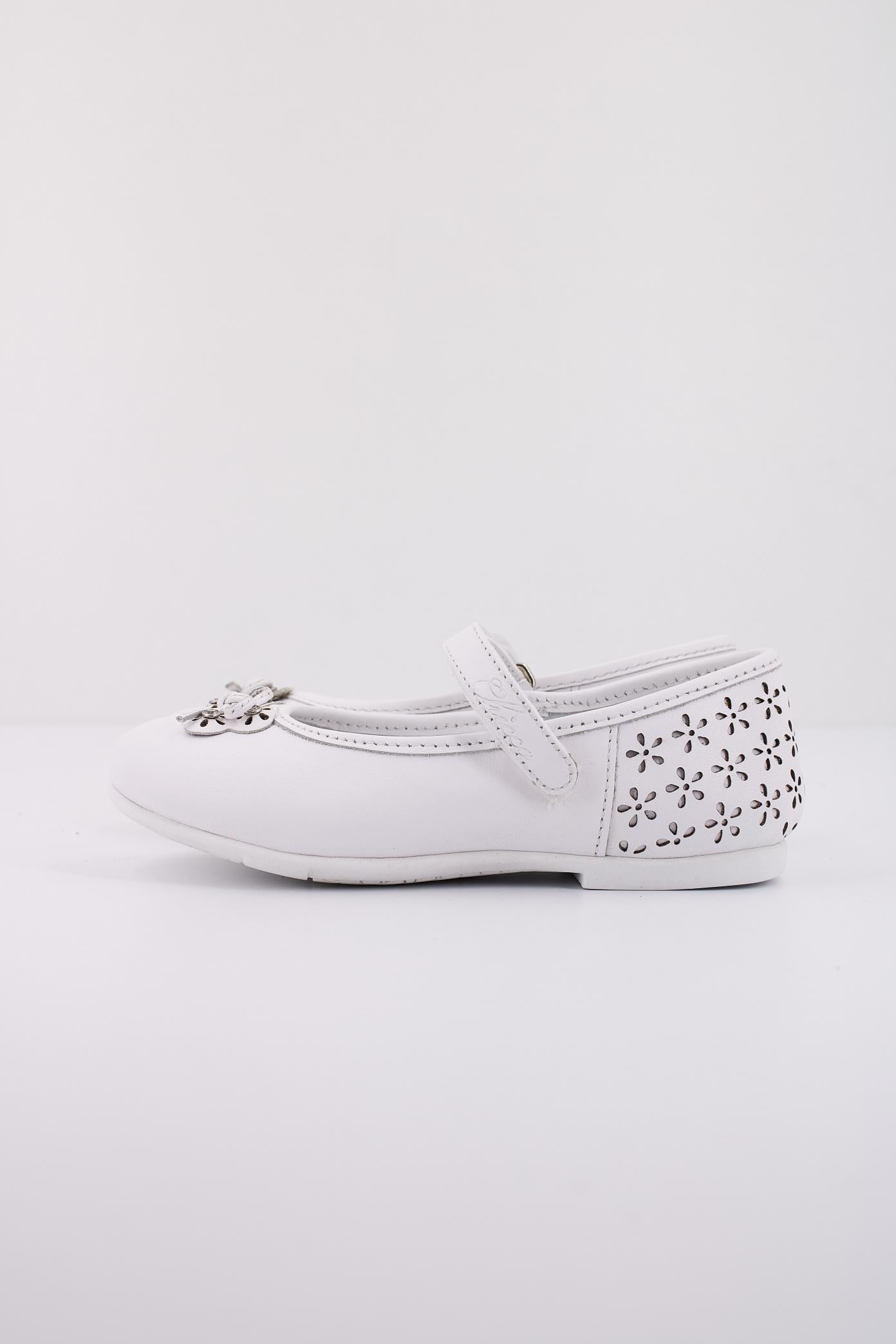 CHICCO CEDRINA en color   (1)