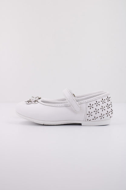 CHICCO CEDRINA en color   (1)