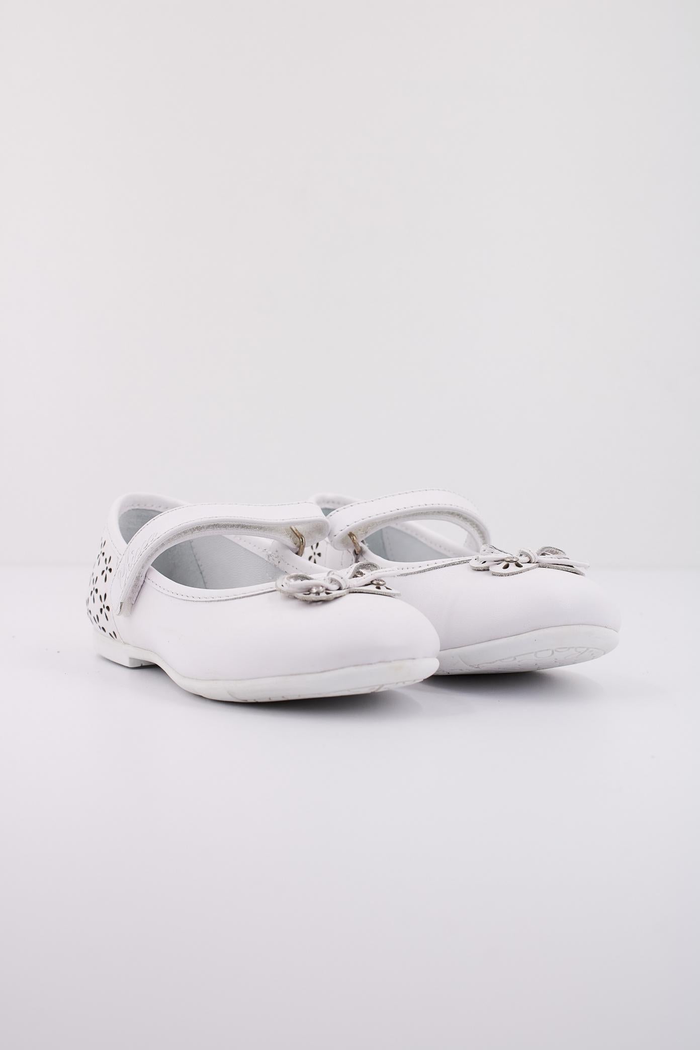 CHICCO CEDRINA en color   (2)