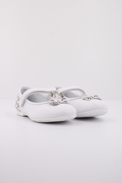 CHICCO CEDRINA en color   (2)