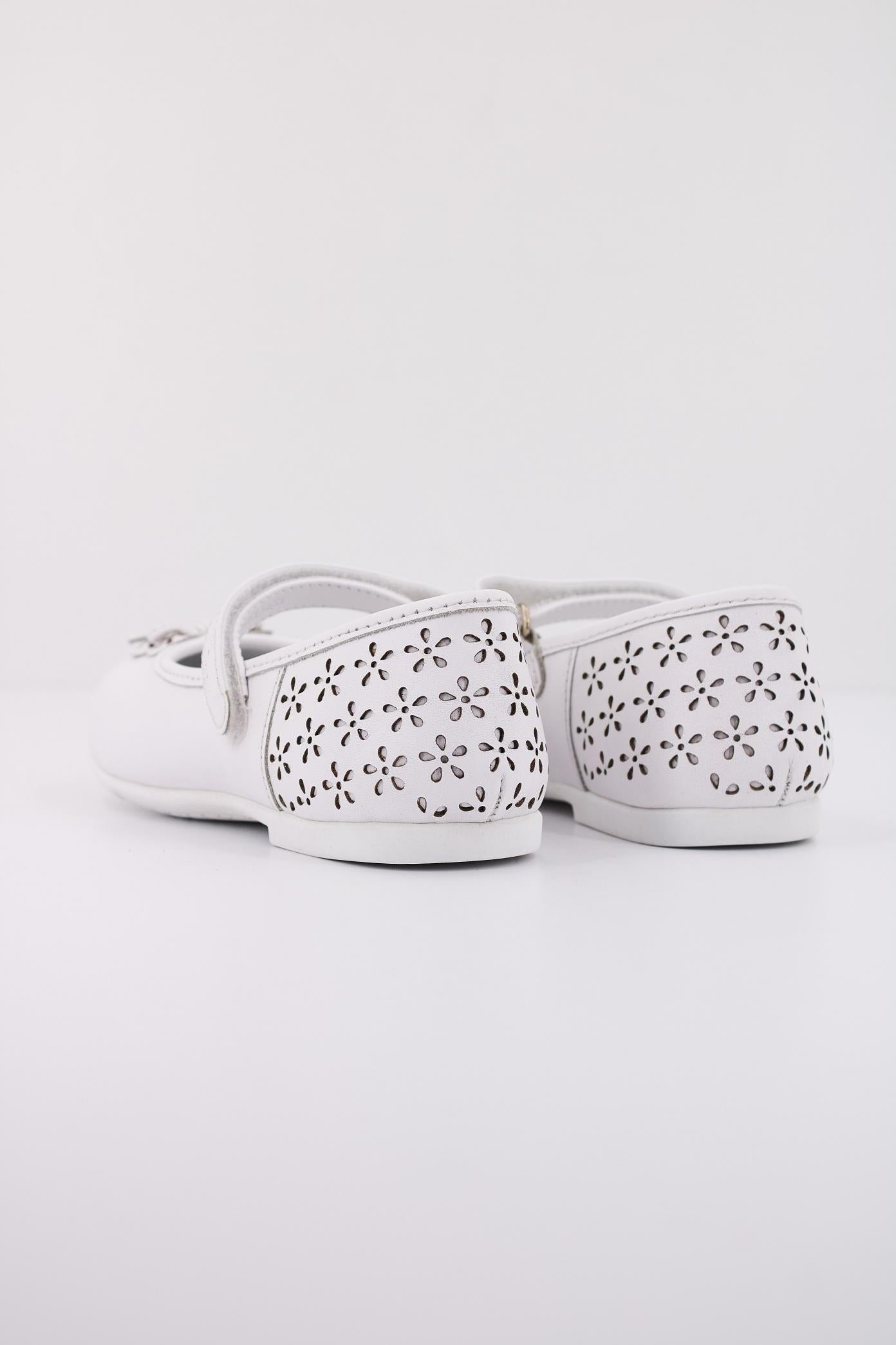 CHICCO CEDRINA en color   (4)