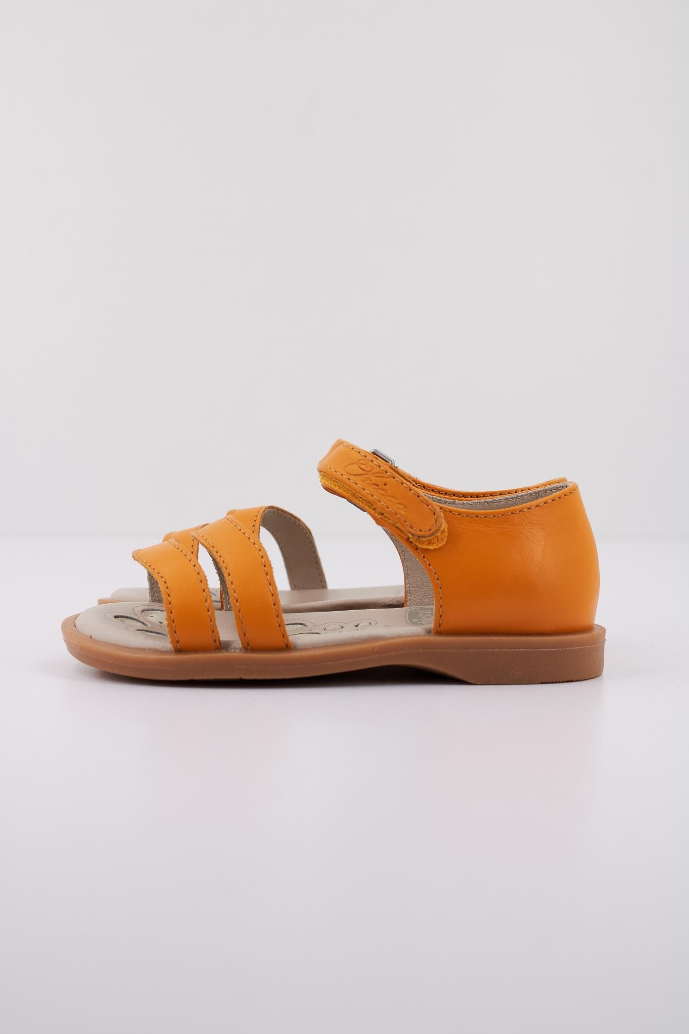 CHICCO CLOANNE en color   (1)