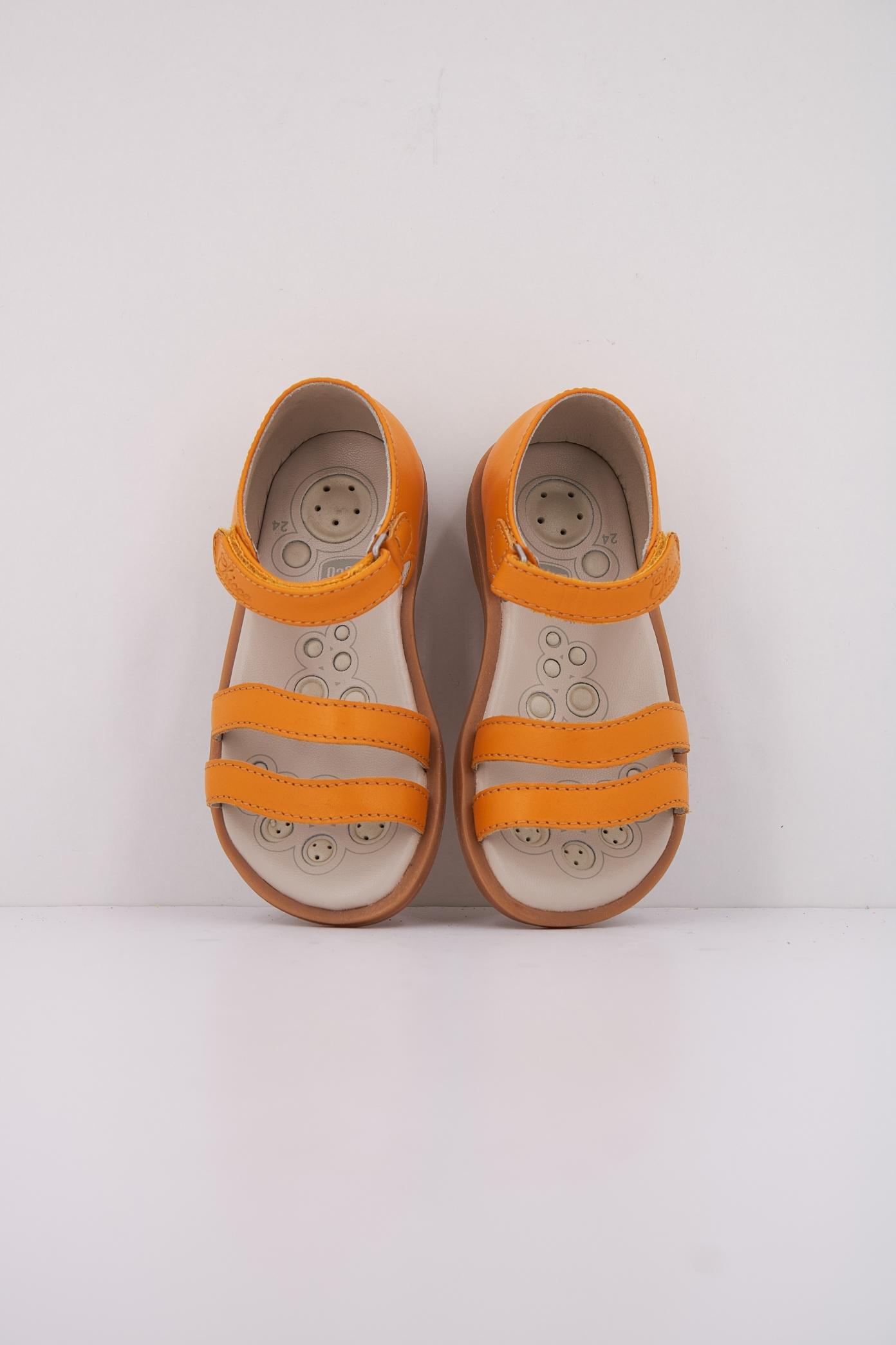 CHICCO CLOANNE en color   (3)