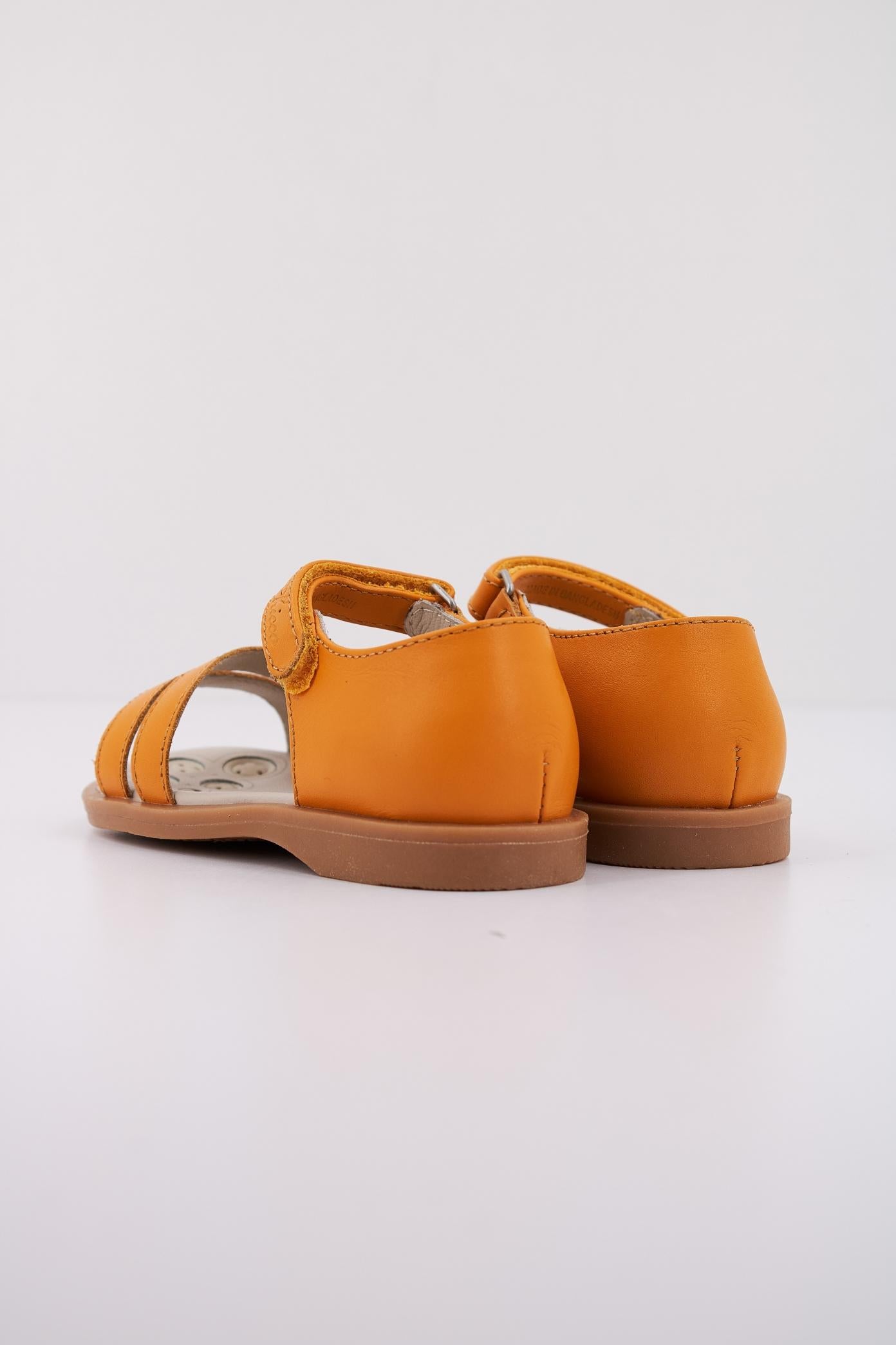 CHICCO CLOANNE en color   (4)