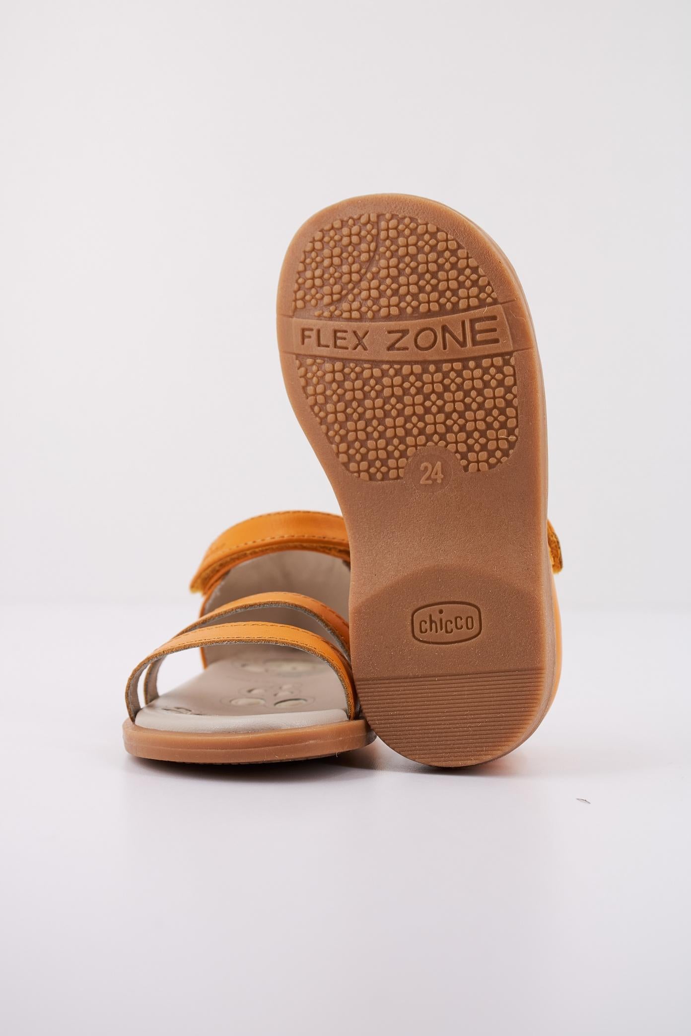 CHICCO CLOANNE en color   (5)