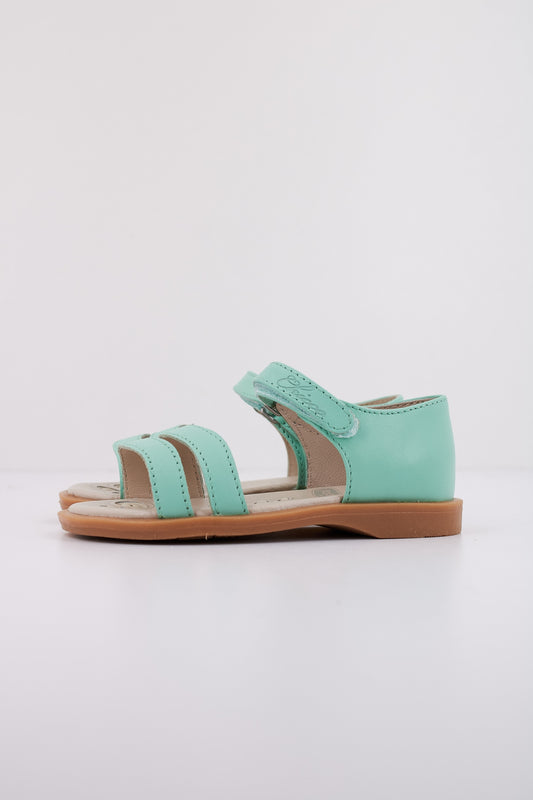 CHICCO CLOANNE en color   (1)