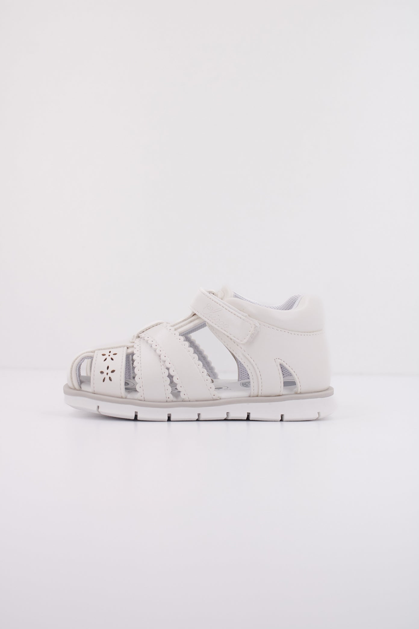 CHICCO FRISY en color   (1)