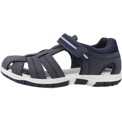 CHICCO FLAX en color   (2)