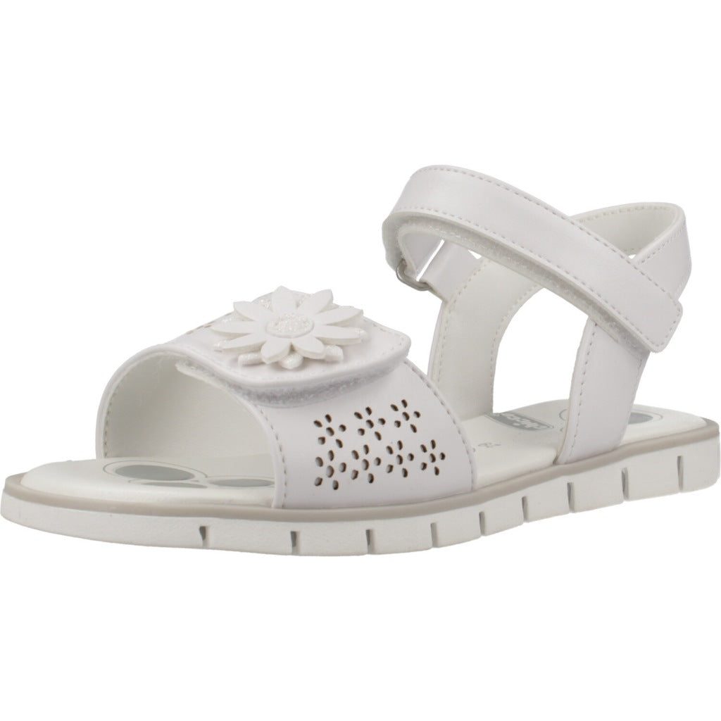 CHICCO CLESSIDRA en color   (1)