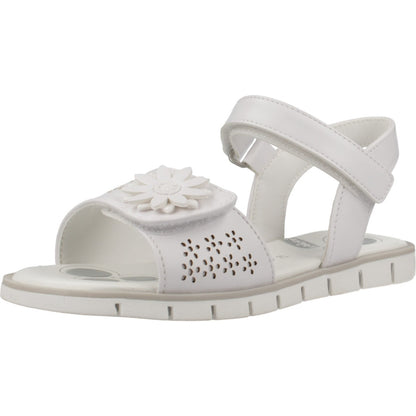 CHICCO CLESSIDRA en color   (1)