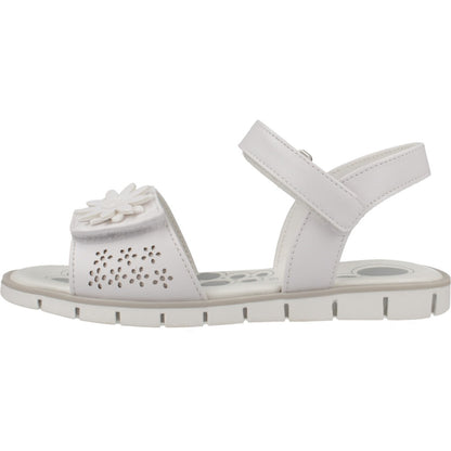 CHICCO CLESSIDRA en color   (2)