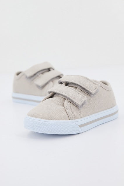 CHICCO GABBIANO en color   (2)